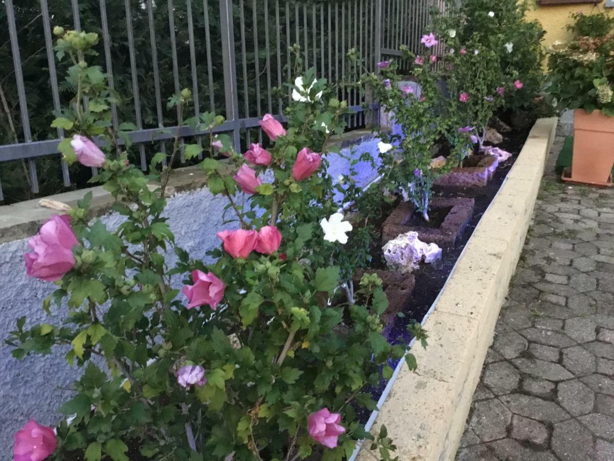 Villa Marilena Ranzanico Bagian luar foto
